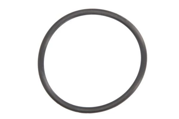 Gasket, differential