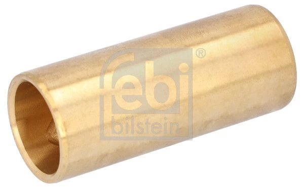 Bushing, leaf spring