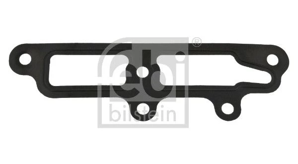 Gasket, coolant flange