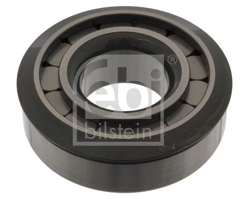 Bearing