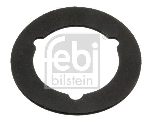 Gasket, oil filler neck cap
