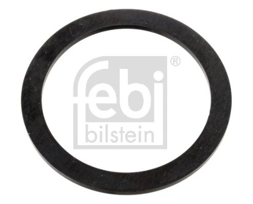 Gasket, oil filler neck cap