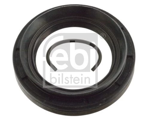 Shaft Seal, differential