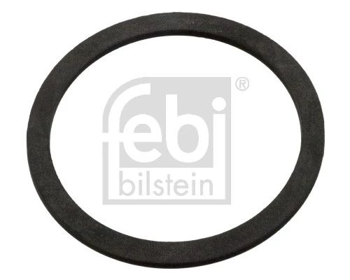 Seal Ring, expansion tank cap