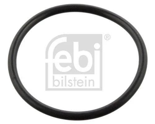 Seal Ring