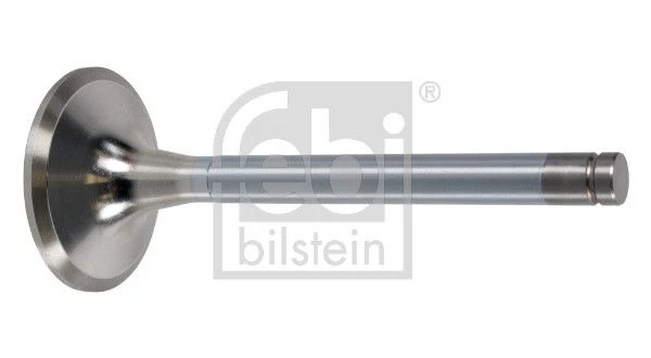 Intake Valve