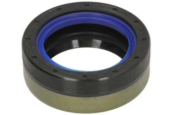 Gasket, differential
