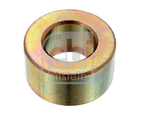 Bushing, leaf spring