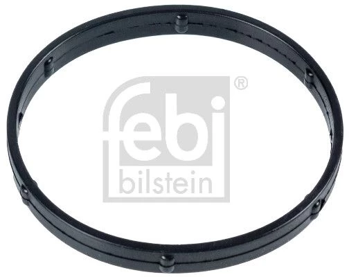 Gasket, EGR valve