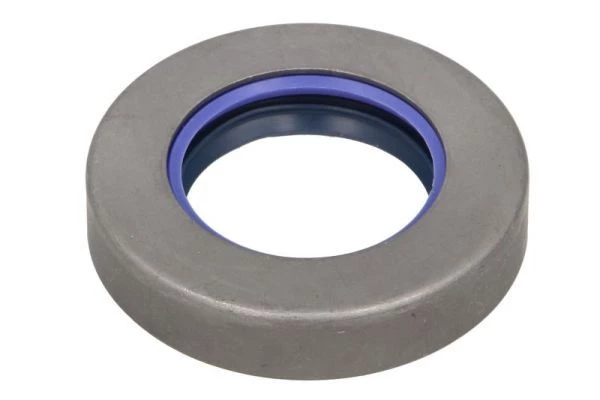 Gasket, differential
