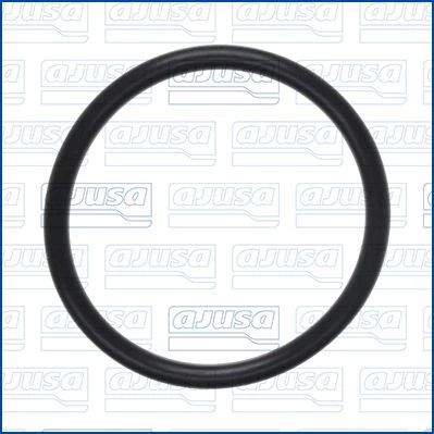 Seal Ring, air filter housing intake hose