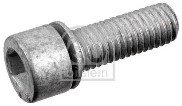 Screw Plug, axle drive