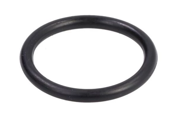 Gasket, charge air cooler