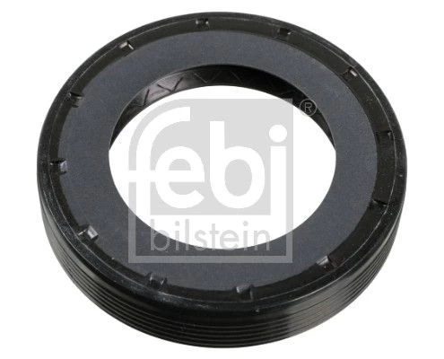 Shaft Seal, differential