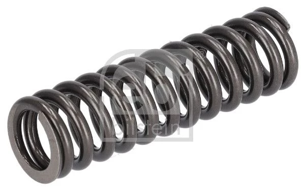 Valve Spring
