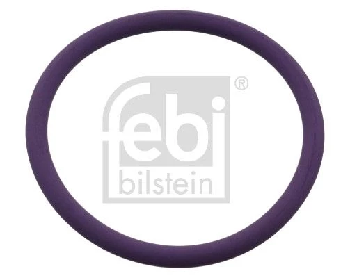 Seal Ring