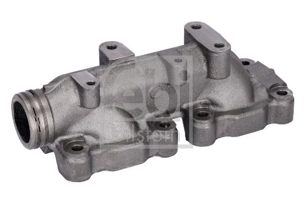 Manifold, exhaust system