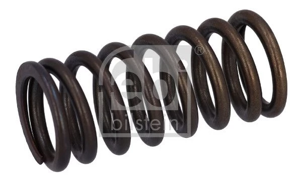 Valve Spring