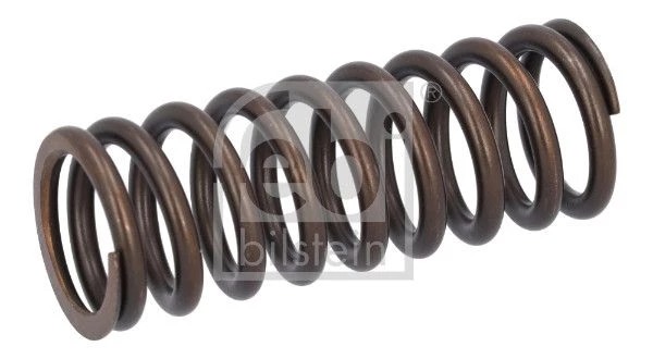 Valve Spring