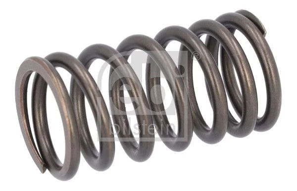 Valve Spring