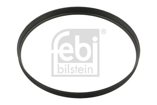 Seal Ring