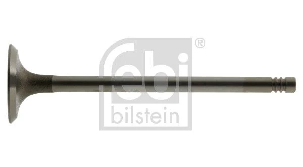 Intake Valve