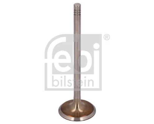 Intake Valve