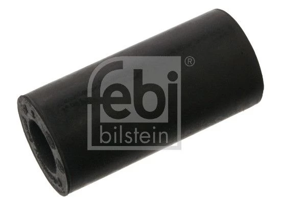 Mounting, leaf spring