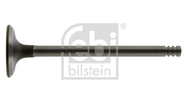 Intake Valve