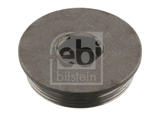 Screw Plug, crankcase