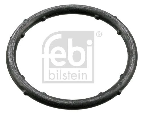 Gasket, coolant flange