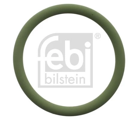 Gasket, coolant flange
