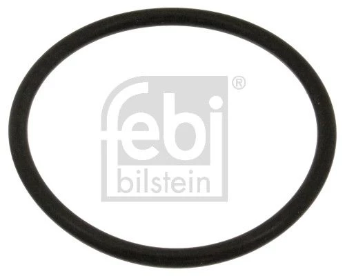 Gasket, coolant flange