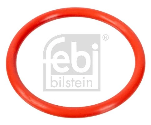 Gasket, coolant flange