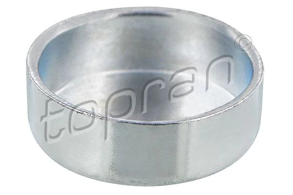 Frost Plug
