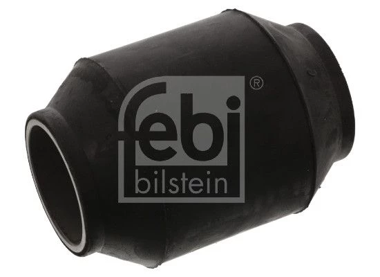 Bushing, leaf spring