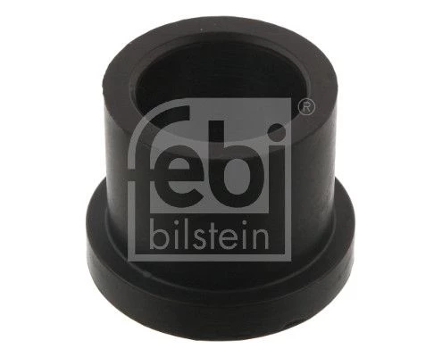 Bushing, leaf spring