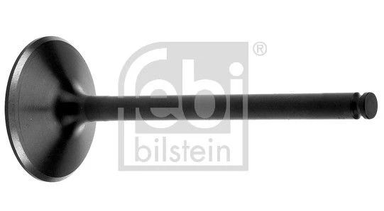 Intake Valve