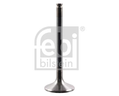 Intake Valve