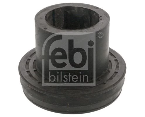 Mounting, control/trailing arm