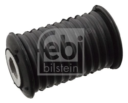 Bushing, leaf spring