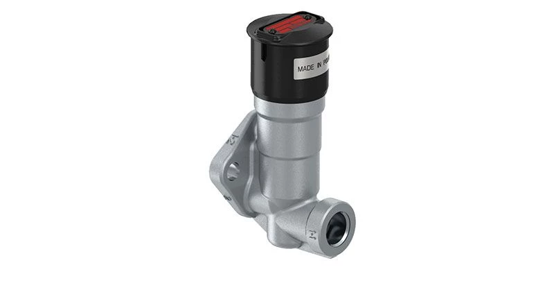 Quick Release Valve