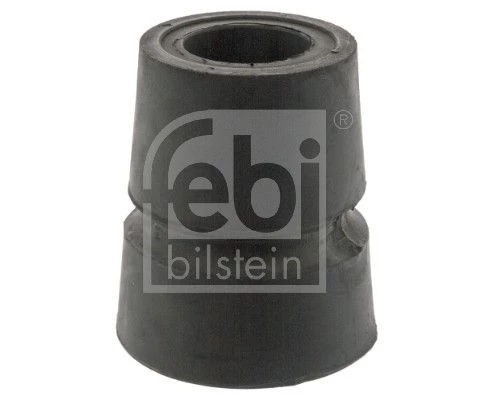 Bushing, leaf spring