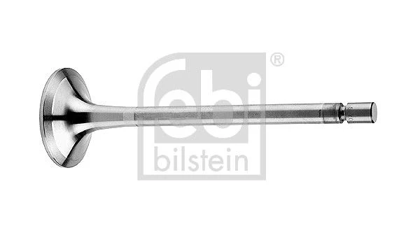 Intake Valve