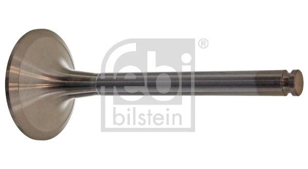 Intake Valve