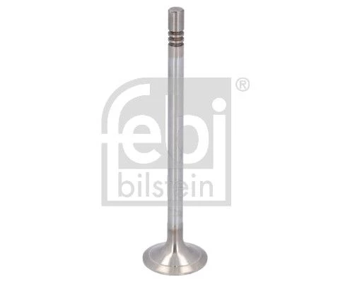 Intake Valve