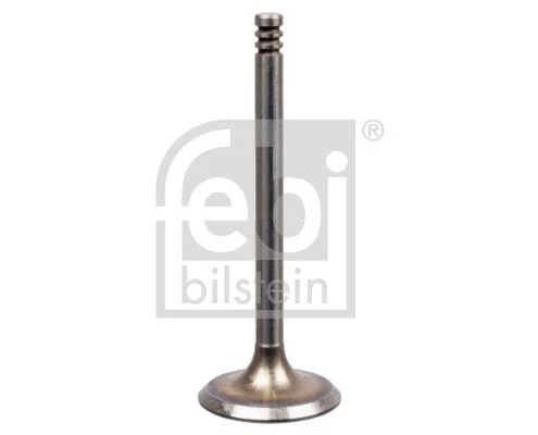 Intake Valve