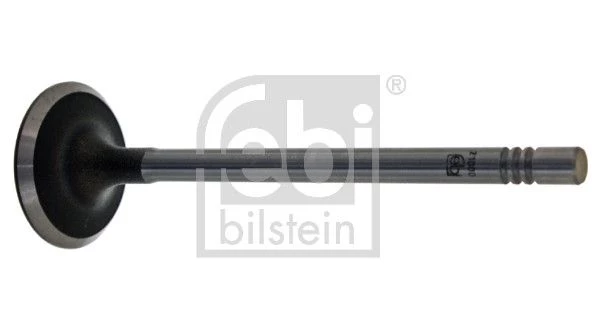 Intake Valve