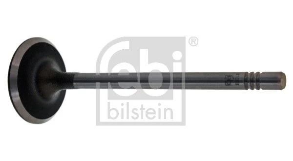 Intake Valve