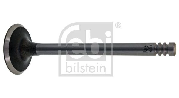 Intake Valve
